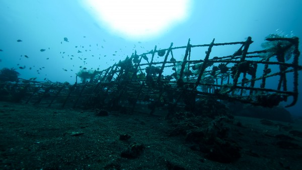 Wide Angle by Michael Brown